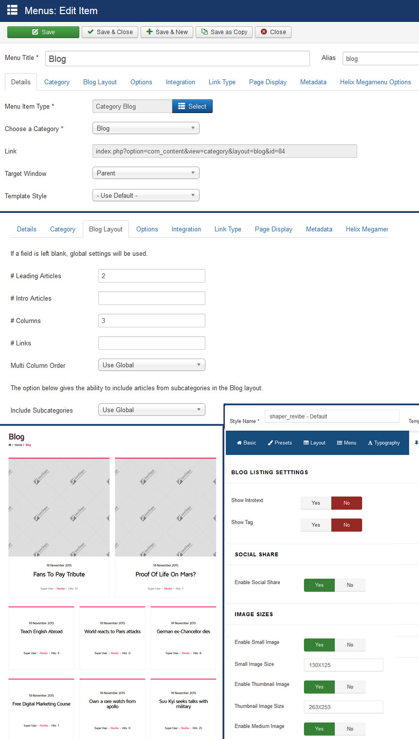 blog settings - revibe template