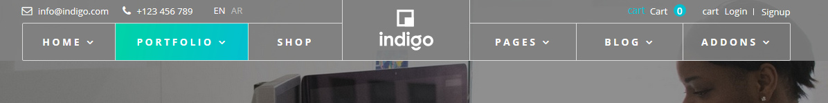 grey bg color of header