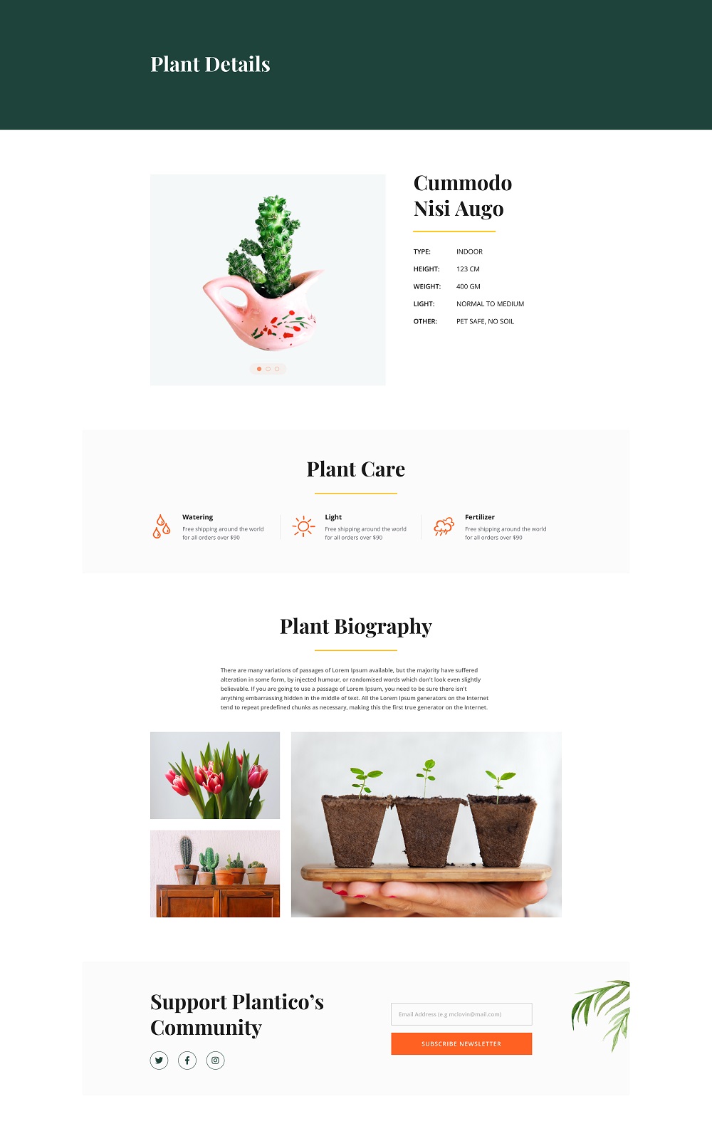 Plant shop layout bundle