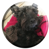 jwhetstone; sthompson