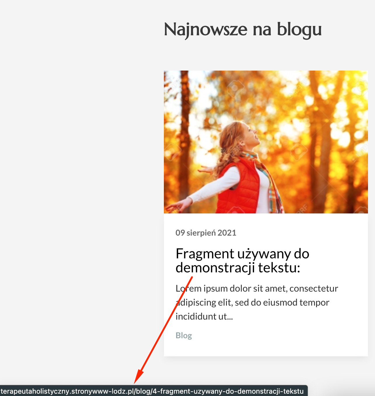 Screenshot at Aug 10 19-03-43.png