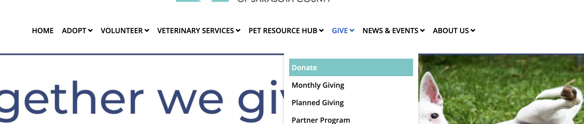 Screenshot 2022-11-28 at 8.08.34 PM.png