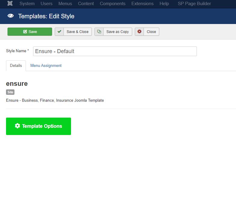 template options.JPG