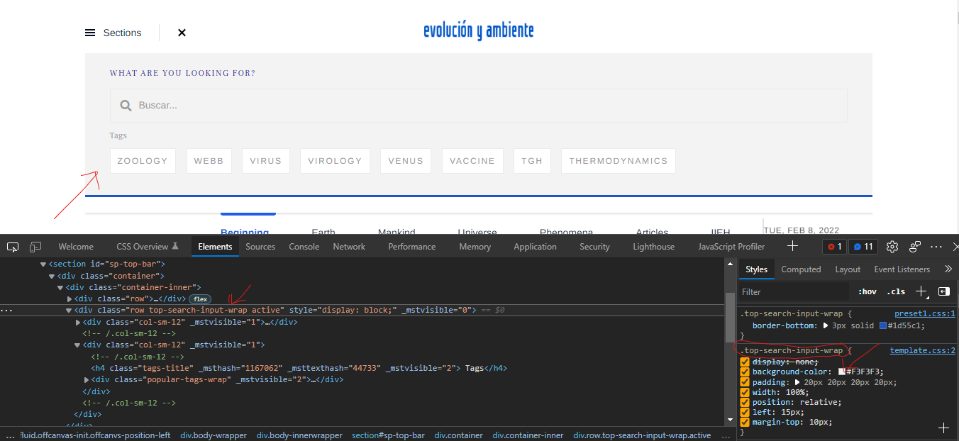 search module Newsberg.png