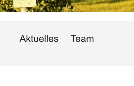 Screenshot 2024-08-15 at 12-41-46 Start Zinzendorfschule.png