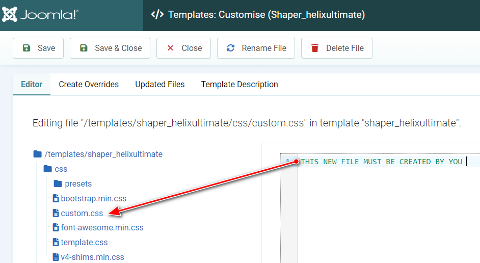 Custom CSS file Method
